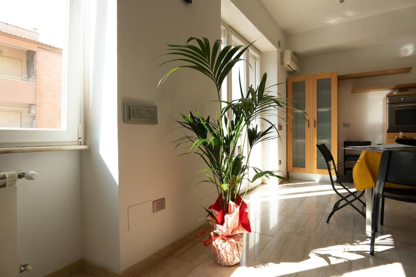 דירות רומא Gabbo House מראה חיצוני תמונה
